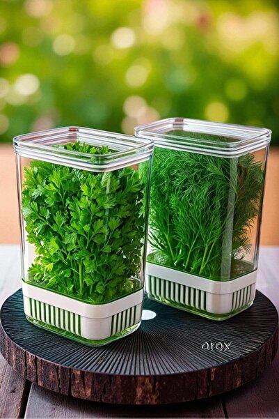 Home Selay Vegetable and Greenery Storage Container with Water Tank to Preserve Freshness 2900 ml