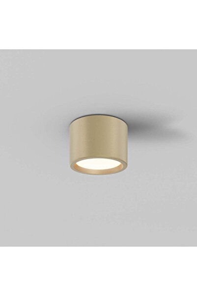 MAYTONI HYDRA Surface Spotlight C 090 CL-10W-3000K-MG by