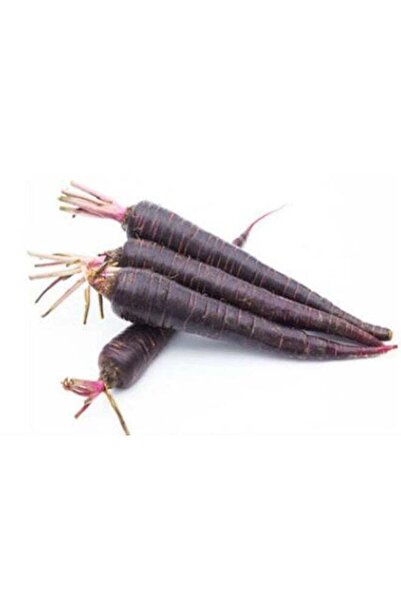 Generic Black carrot seeds are a rare hybrid for cultivation.