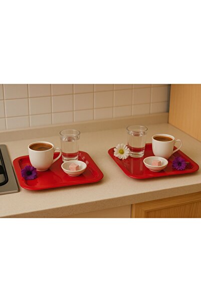 Fabrication 2-Piece Colorful Unbreakable Plastic Square Flat Coffee & Tea & D...