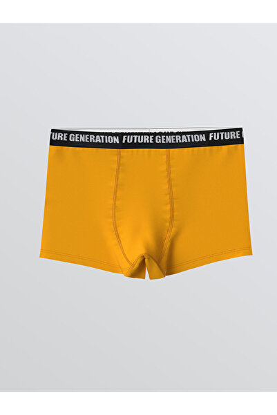 LC Waikiki Mixed Basic Boys' Boxer 3-Pack