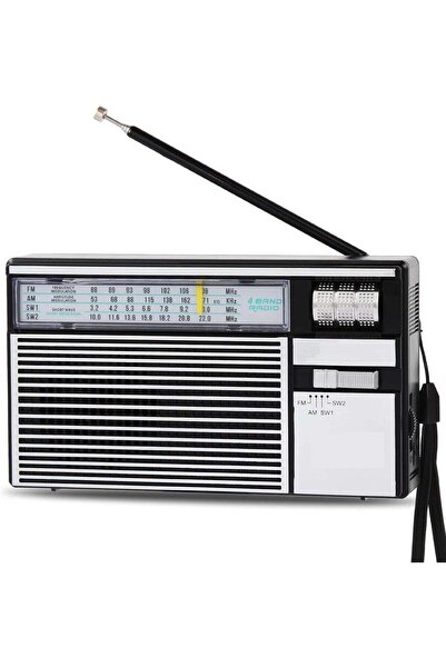 DYNEX Denx Bluetooth speaker and radio with FM/AM/USB/TF/AUX support