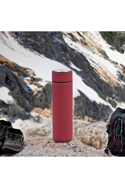 OEM Matte burgundy stainless steel insulated bottle with filter 450ml