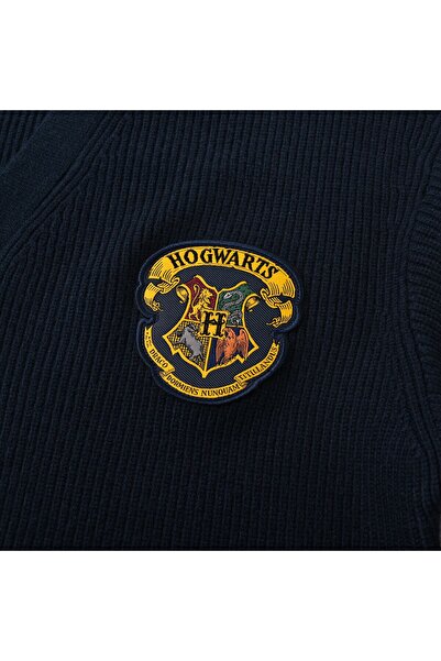 Giordano Men's Harry Potter V-Neck Button Cardigan with Textured Knit - Limited Edition Collection