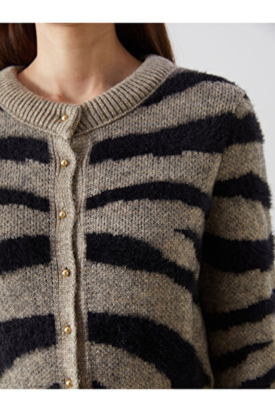 LC Waikiki Crew Neck Patterned Women's Knitwear Cardigan