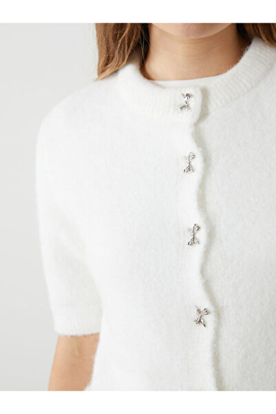 LC Waikiki Crew Neck Plush Women's Knitwear Cardigan