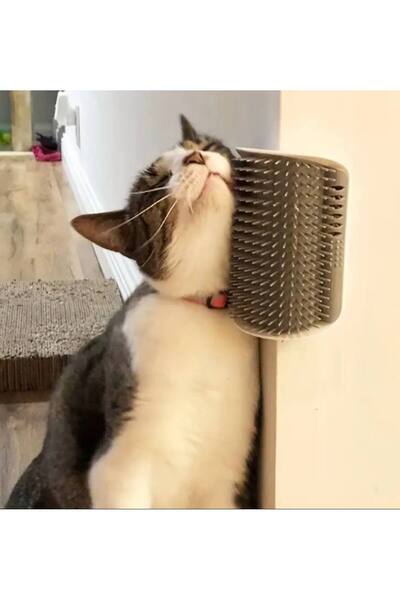 STEELVA Wall-Mountable Cat Grooming Brush