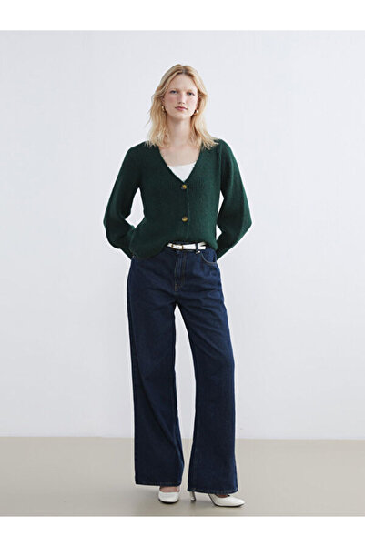 LC Waikiki V-Neck Balloon Sleeve Women's Knitwear Cardigan