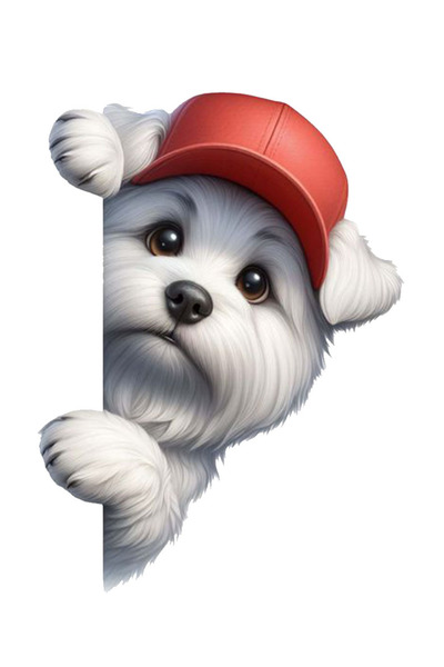 Hobi Butik Kırmızı şapkalı terrier Sticker Araba, Motorsiklet, Kask, Laptop,c...