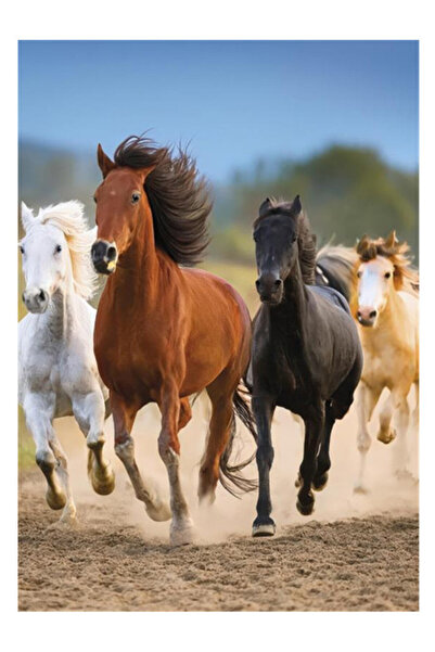 Animals Cal Freedom Mapa A/4 cu elastic