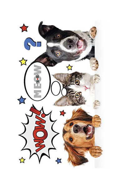 Animals Animale Furry Friends Mapă elastică A/4