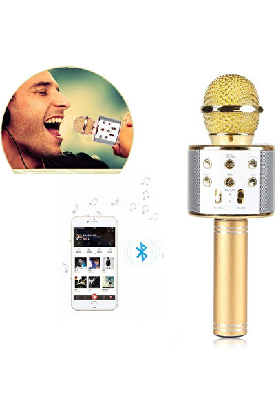 SmartElectro Wireless Bluetooth Karaoke Microphone, 5 W, TF/USB/AUX, ECHO Effect, Gold, Portable