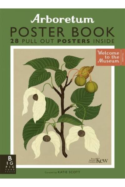 Big Picture Press Arboretum Poster Book: 28 Pull Out Posters inside Katie Scott