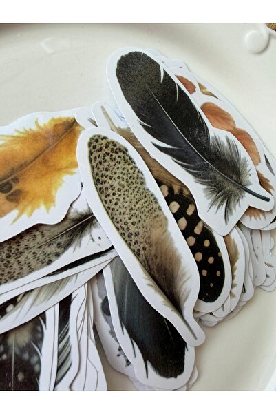 Bumelo 45 Pieces Matte Feather Sticker with Colorful Feathers, Strong Adhesive,