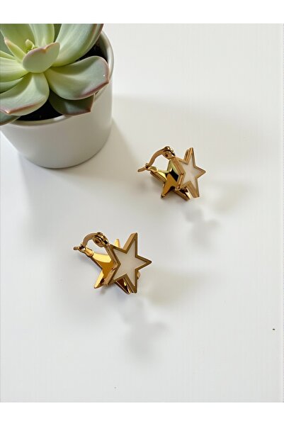 Bo Takı ve Aksesuar Steel earrings