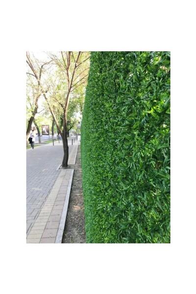 Jidar Fence Privacy screen, artificial hedge, JIDAR FENCE, green, 1 m x 10 m