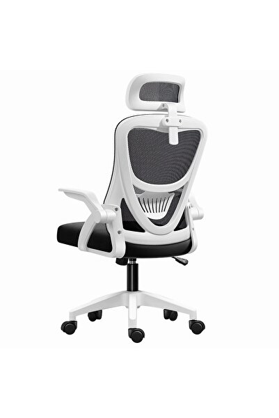 MINOMAC Office Chair Ergonomic Desk Chair with Adjustable Lumbar Support Mesh Computer Chair