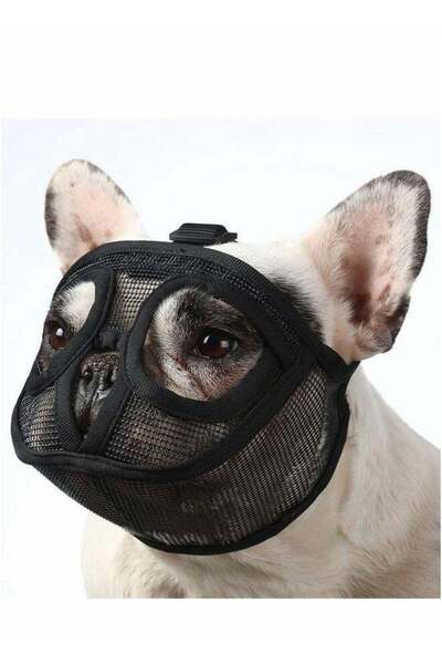 Generic Short-Snout Adjustable Breathable Dog Muzzle for Flat-Faced Breeds
