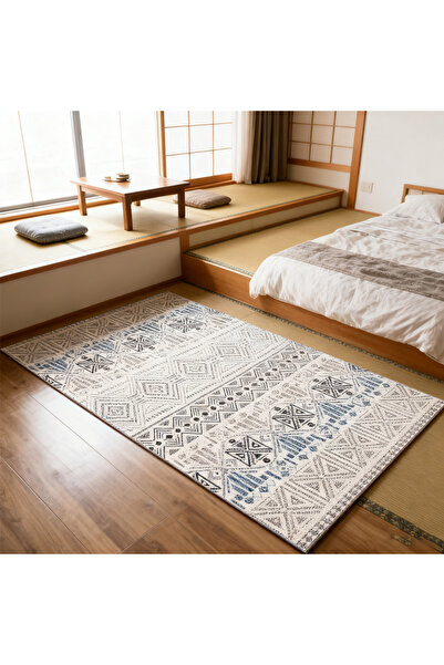 HayaBazaar Rectangular Soft Touch Multicolour Carpet ,Anti-Slip, Washable for Bedroom, Living Room