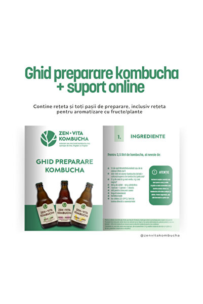 zenvita Home kombucha preparation kit