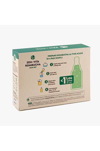 zenvita Mini set for making kombucha at home