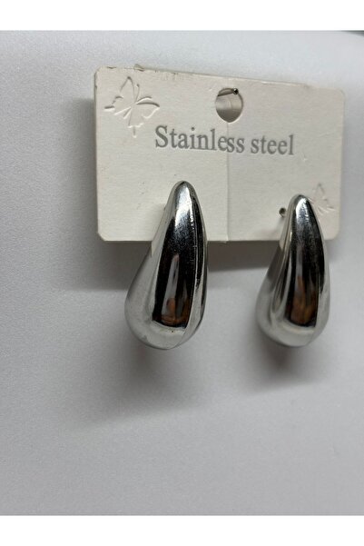 staınless steel Steel Earrings