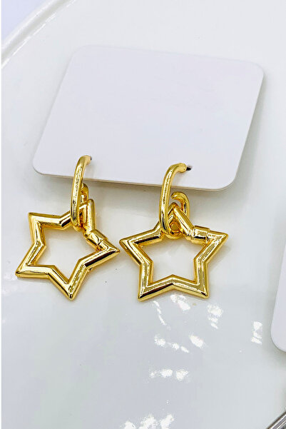 Liveyn Design Star Dangle Earrings