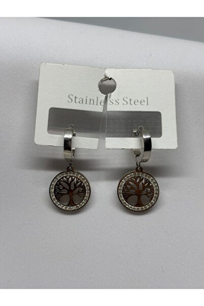 stainles steel Steel Earrings