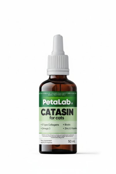 Petalab KEDİ BAKIM SETİ (CATASİN DAMLA & MALT MACUN)