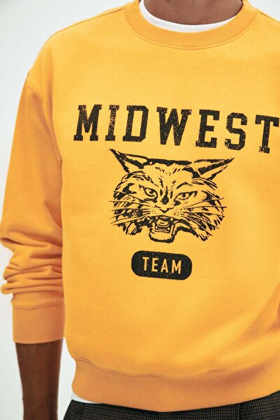 H&M Loose Fit Printed sweatshirt