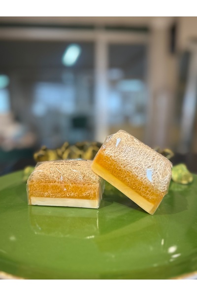 Bursa Home 2-Pack of Pumpkin Fiber Soap