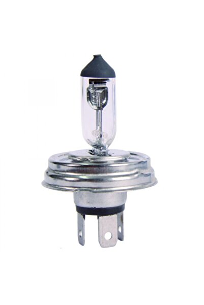 OEM Bec halogen H5 12V 60/55W P45T E4