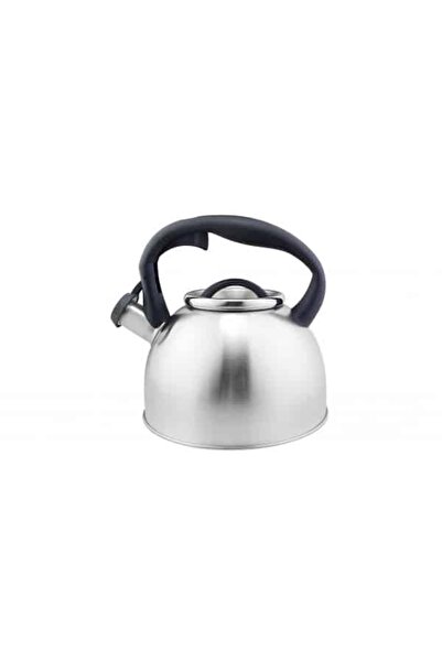 Zilan Stainless steel kettle with whistle, capacity 3.5l, / ZLN 1306