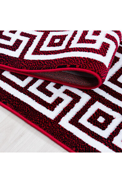 Talis Parma Red Carpet V1 200x290 cm