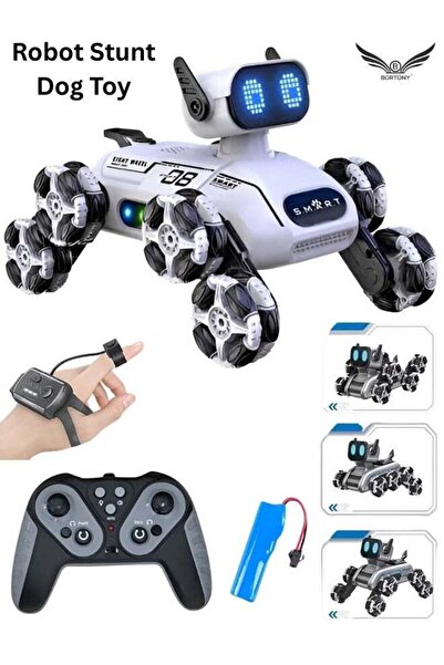 BORTONY Robot Dog RC Stunt Car Toy with Smoke, Lights & Music