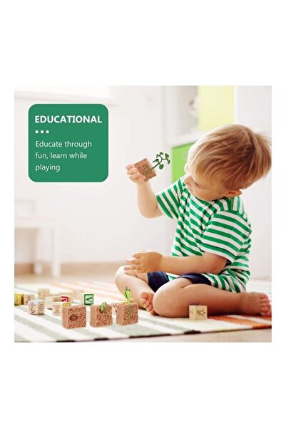 Generic 4-Piece Butterfly Growth Cycle Model - Lifelike Butterfly Life Cycle Educational Toy