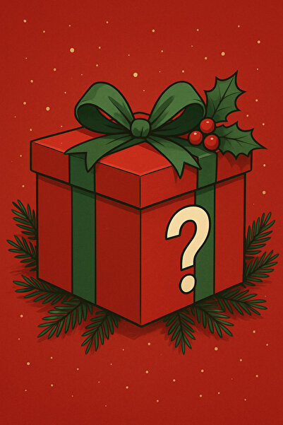 OEM Mystery Box Secret Santa edition 3-5 products