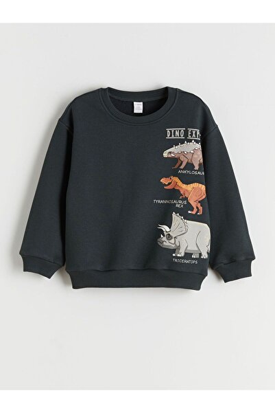 LC Waikiki Lcw Kids Printed Boys' Sweatshirt