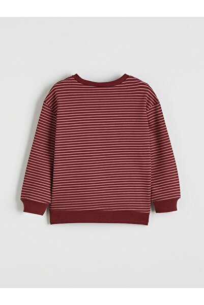 LC Waikiki Lcw Kids Crew Neck Striped Boys' Thick Sweatshirt