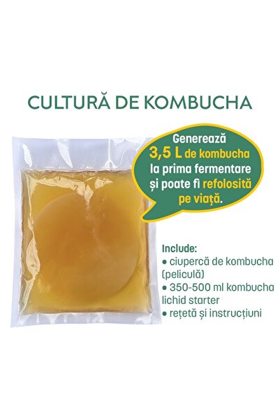 zenvita Kombucha culture, kombucha fungus, for making kombucha at home