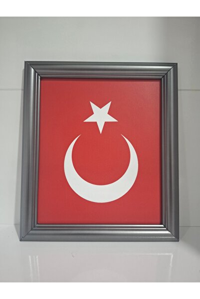 ABAYS Türk Bayrağı çerçeveli tablo