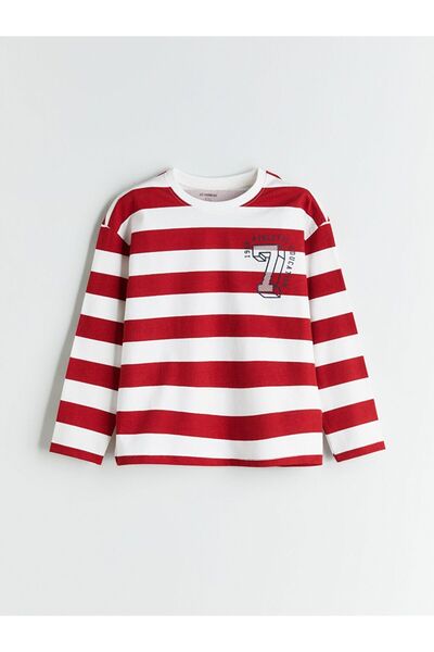 LC Waikiki Lcw Kids Crew Neck Striped Boy T-Shirt