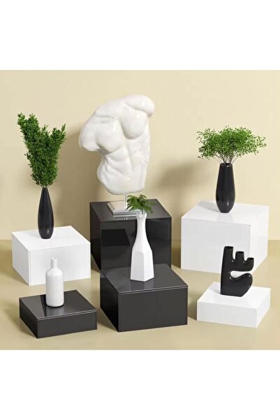 Slasa 4-Piece Acrylic Cube Display Box Riser Set White 30.48x30.48x15.24cm