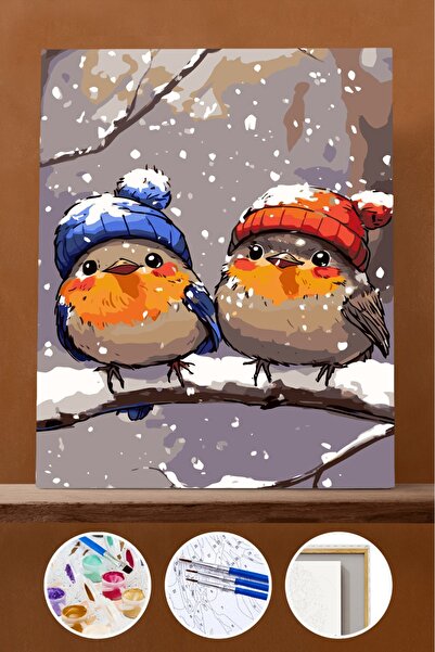 Pastelya Sayılarla Boyama Seti Çerçeveli Kasnaklı Yeni Yıl Kuşları 1 40x50 cm