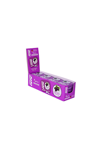 Lala Mints Black Currant sugar free 14 gm x12pcs
