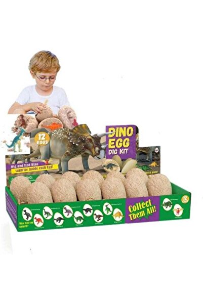 TOY GARDEN Dinosaur Eggs Dig Kit - 12 Pack Dino Egg Excavation STEM Toys for Kids