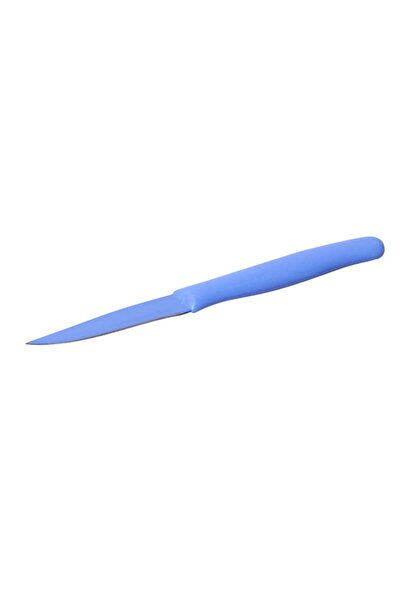 Kamille cuțit de curățat legume și fructe, 20,5 cm, oțel inoxidabil, mâner din plastic