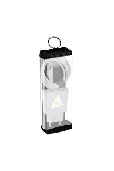 Universal Încărcător de perete 2.1A 2USB cu cablu Lightning T06 Flippy Bliste...