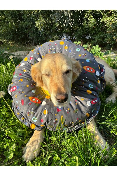 Petris 0.Rta-Büyük.Irk Dog Collar-Elizabeth Collar Operation Collar-Cat Neck Pillow-Xxl