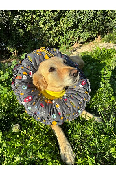 Petris 0.Rta-Büyük.Irk Dog Collar-Elizabeth Collar Operation Collar-Cat Neck Pillow-Xxl